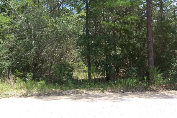 10 Ac Nowling Road, DeFuniak Springs, FL 32435