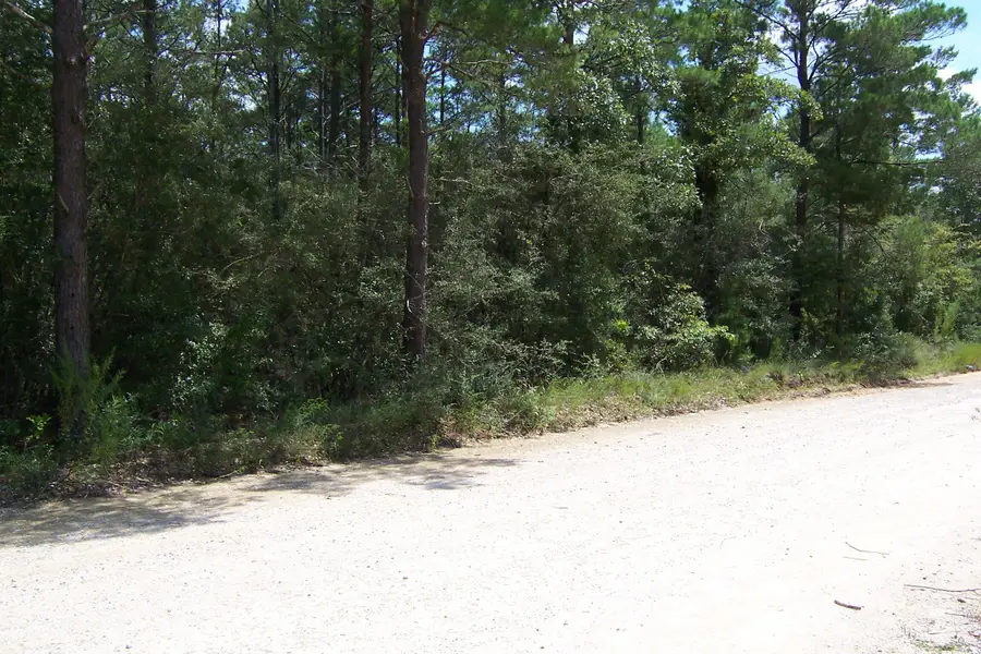 10 Ac Nowling Road, Defuniak Springs, FL 32435 - #2