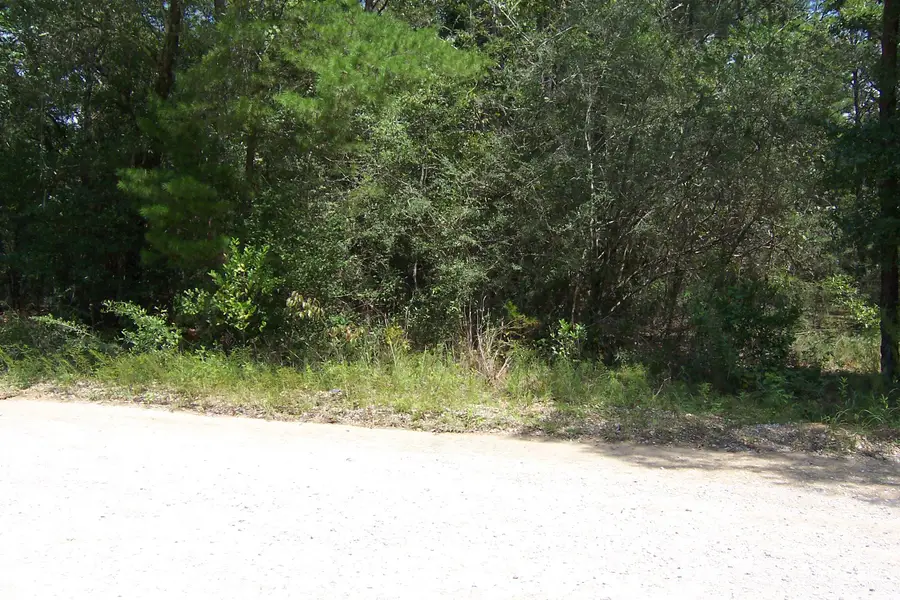 10 Ac Nowling Road, Defuniak Springs, FL 32435 - #3