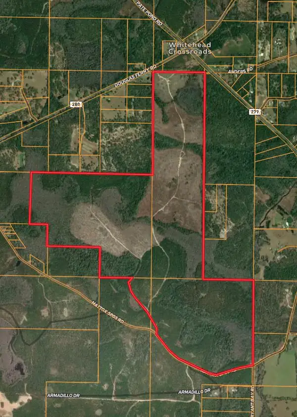 Tract#6418 N Mattox Springs Road, Caryville, FL 32427