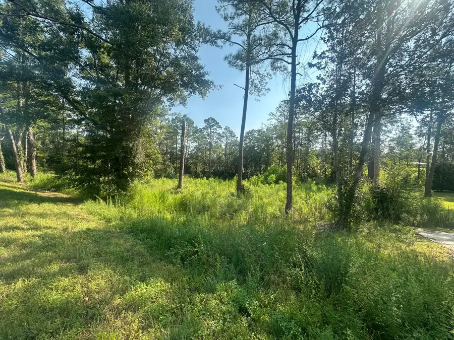 TBD Fl-83, Defuniak Springs, FL 32433 - #3