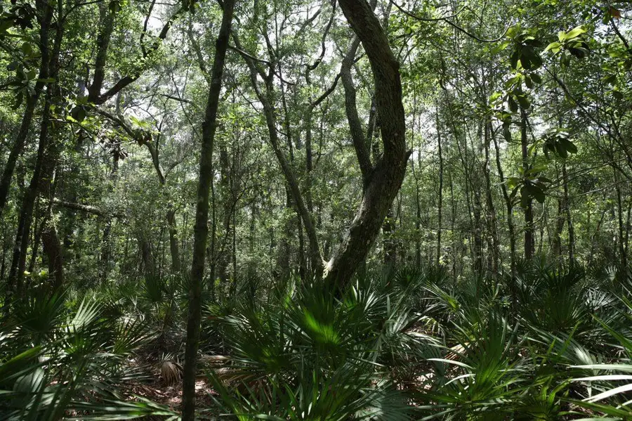 Lot 97 E Perseverance Point, Freeport, FL 32439 - #2