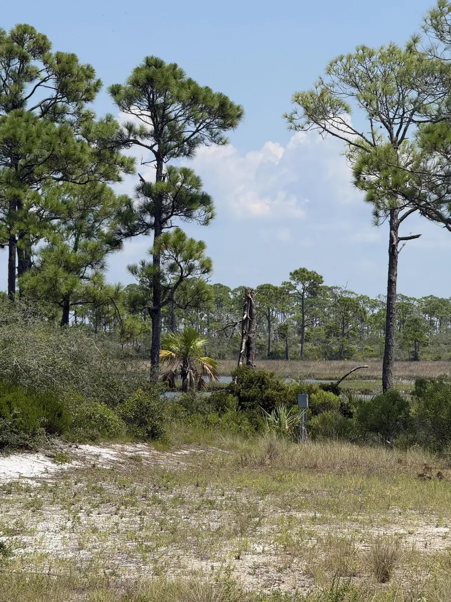 4746 Cape San Blas Road, Cape San Blas, FL 32456 - #2
