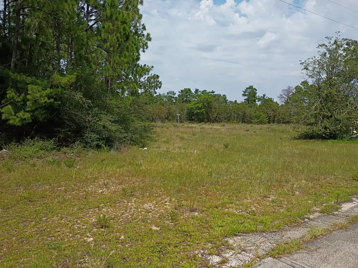 0000 Veterans Lane, Freeport, FL 32439 - #1