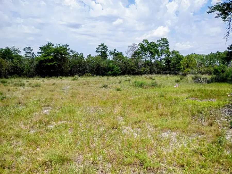 0000 Veterans Lane, Freeport, FL 32439 - #2