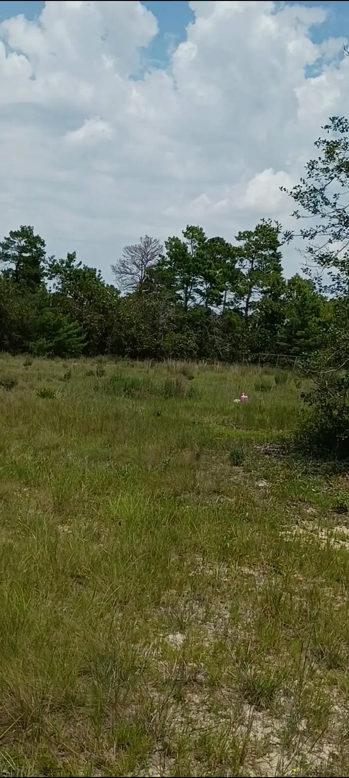 0000 Veterans Lane, Freeport, FL 32439 - #3