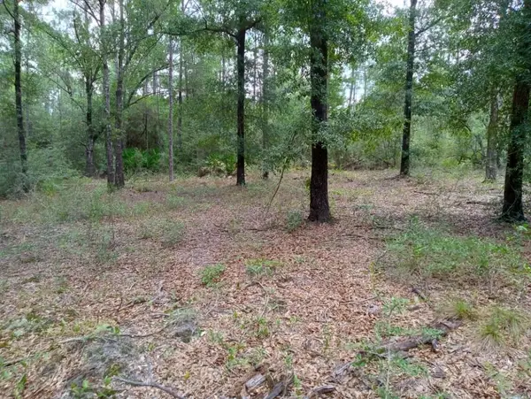 Lots 7 & 8 E Yellow Poplar Avenue, DeFuniak Springs, FL 32433