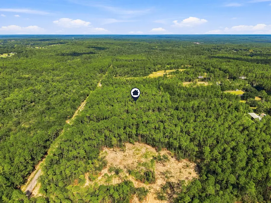 8.42 Acres Main Drive, Crestview, FL 32539 - #3