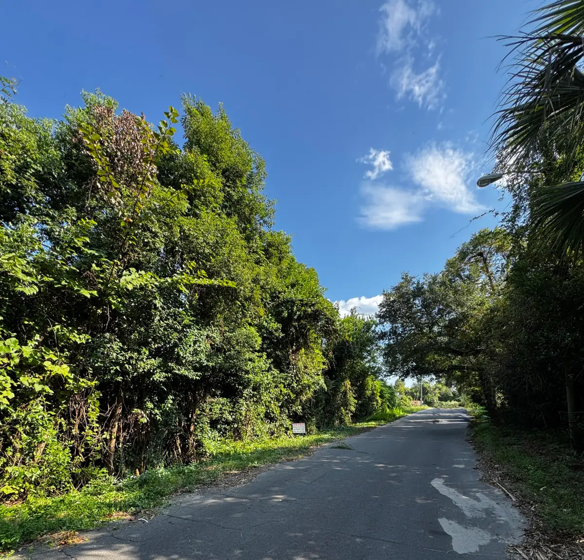 906 N Harris Avenue, Panama City, FL 32401 - #1