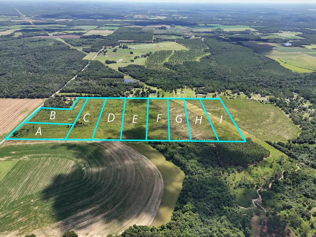 10 Acres F Davidson Road, Defuniak Springs, FL 32433 - #1