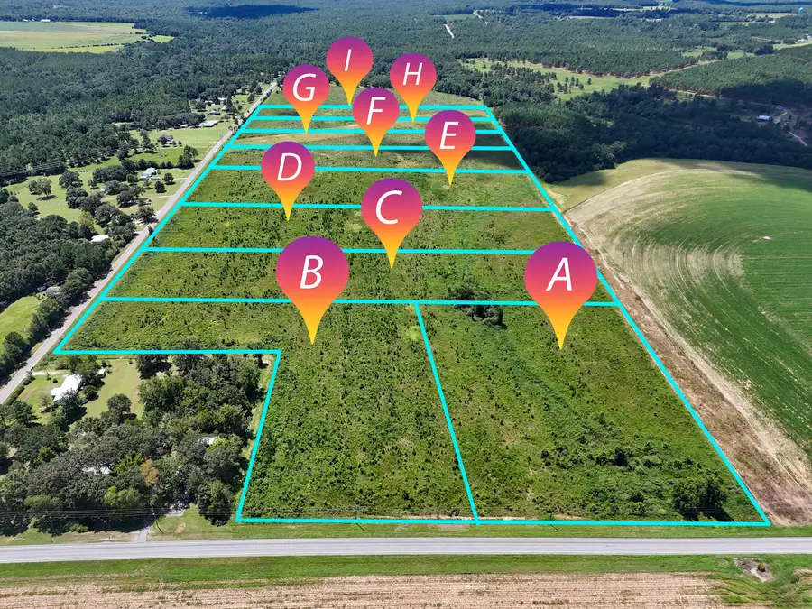 10 Acres I Davidson Road, Defuniak Springs, FL 32433 - #2