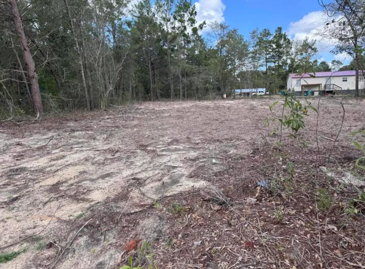 Lot 6 Country Boulevard, Defuniak Springs, FL 32433 - #1