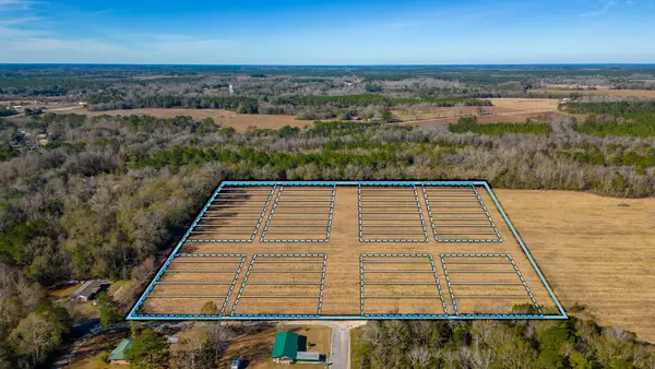 56 Lots 10th Street, Florala, AL 36442