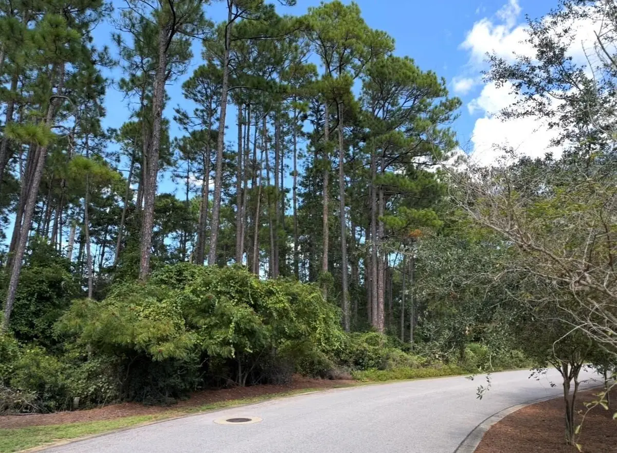 Lot 1 Cox Road, Santa Rosa Beach, FL 32459 - #1