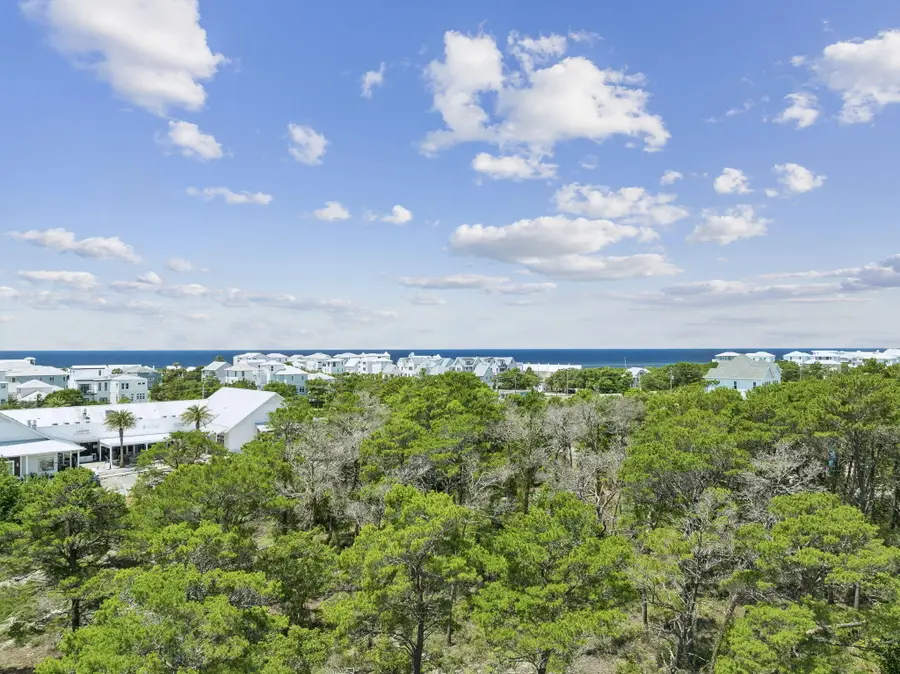 52 Holly Leaf Lane, Inlet Beach, FL 32461 - #3