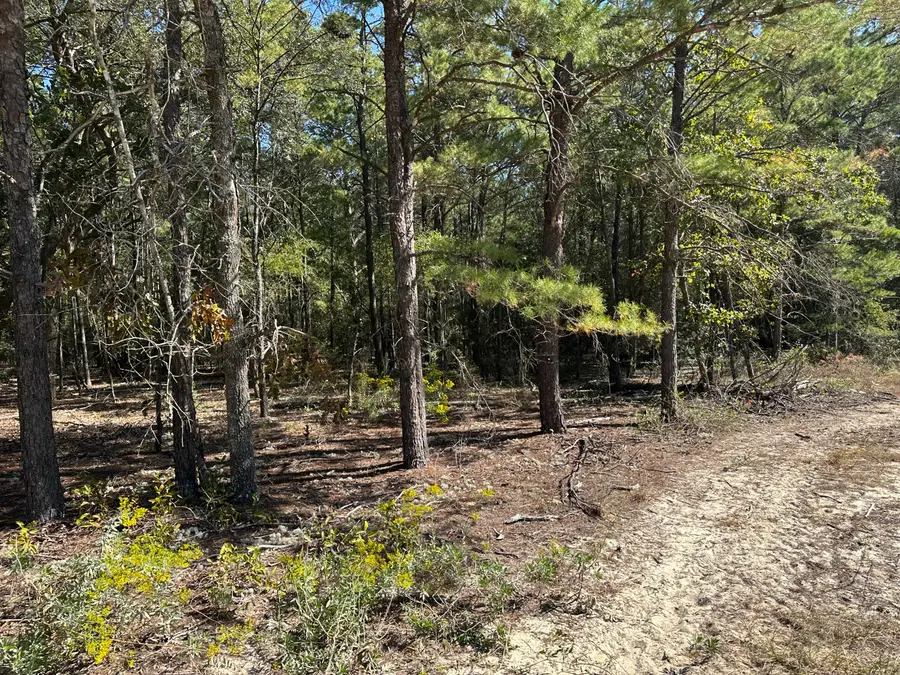 134 Post Oak Road, Defuniak Springs, FL 32433 - #3