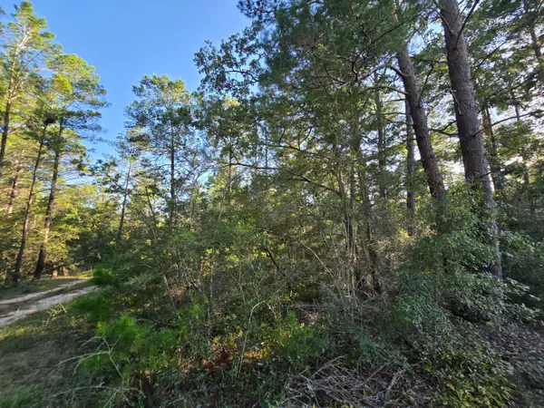 TBD Randi Road, Crestview, FL 32539