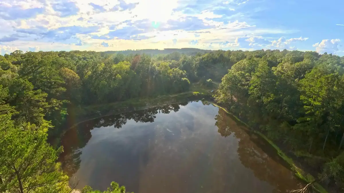 71 Acres Pouncey Drive, Florala, AL 36442 - #1