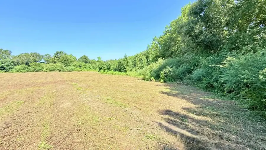 3.5 Acre-1 NE County Road 32, Opp, AL 36467 - #2
