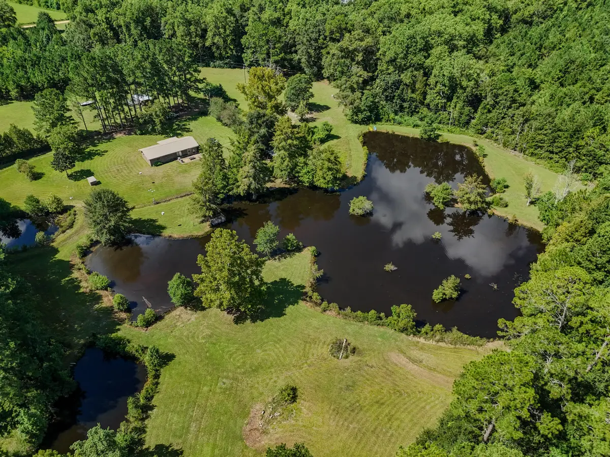 20339 W State Hwy 52, Opp, AL 36467 - #1