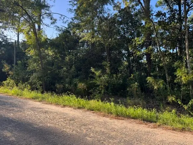 Lots 10-11 Blk 42, Santa Rosa Beach, FL 32459 - #1