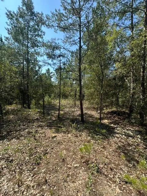 Lot 4 E Buckeye Street, DeFuniak Springs, FL 32433