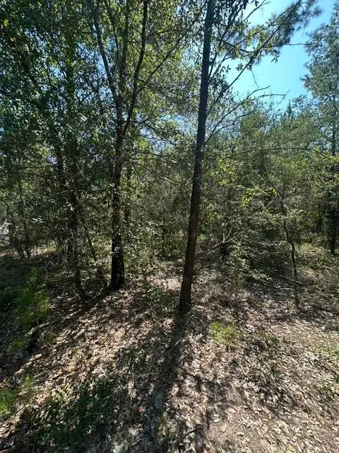 Lot 4 E Buckeye Street, Defuniak Springs, FL 32433 - #2