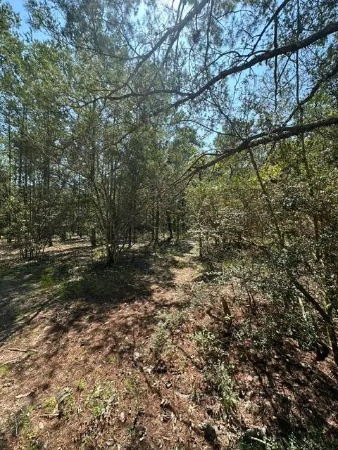 Lot 4 E Buckeye Street, Defuniak Springs, FL 32433 - #3