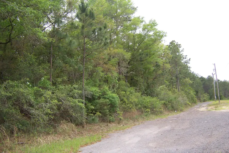 7AC Pine Forest Road, Pensacola, FL 32526 - #2