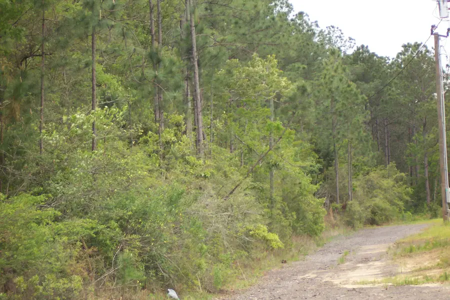 7AC Pine Forest Road, Pensacola, FL 32526 - #3