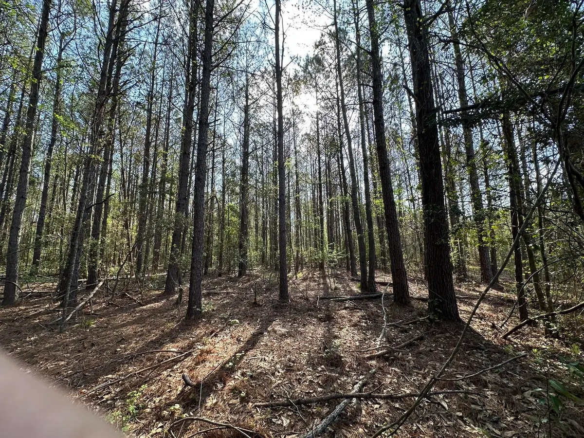 33.66+/-AC Snyder Avenue, Other, AL 00N/A - #1