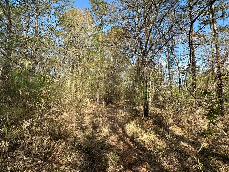33.66+/-AC Snyder Avenue, Other, AL 00N/A - #3