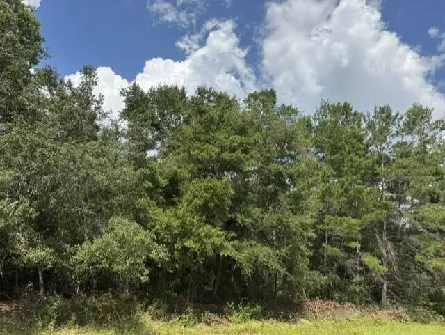 Lot 8 Bushton Street, Navarre, FL 32566 - #1