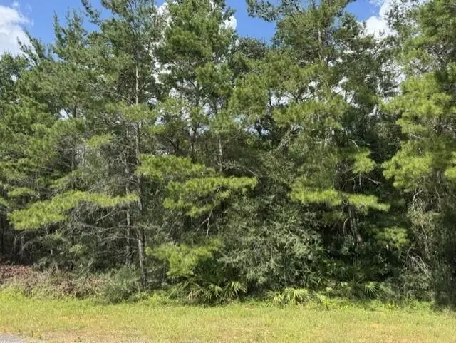 Lot 8 Bushton Street, Navarre, FL 32566 - #2