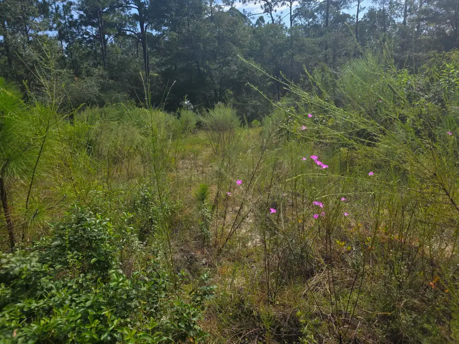 Lot 48 Clearwater Drive, Defuniak Springs, FL 32433 - #2