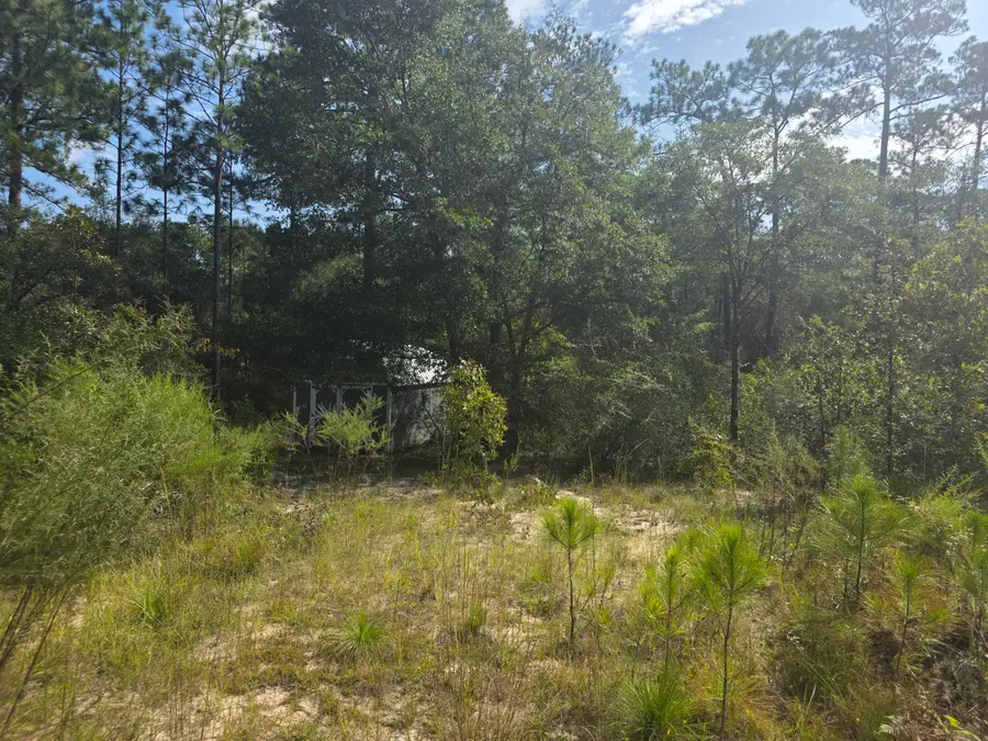 Lot 48 Clearwater Drive, Defuniak Springs, FL 32433 - #3