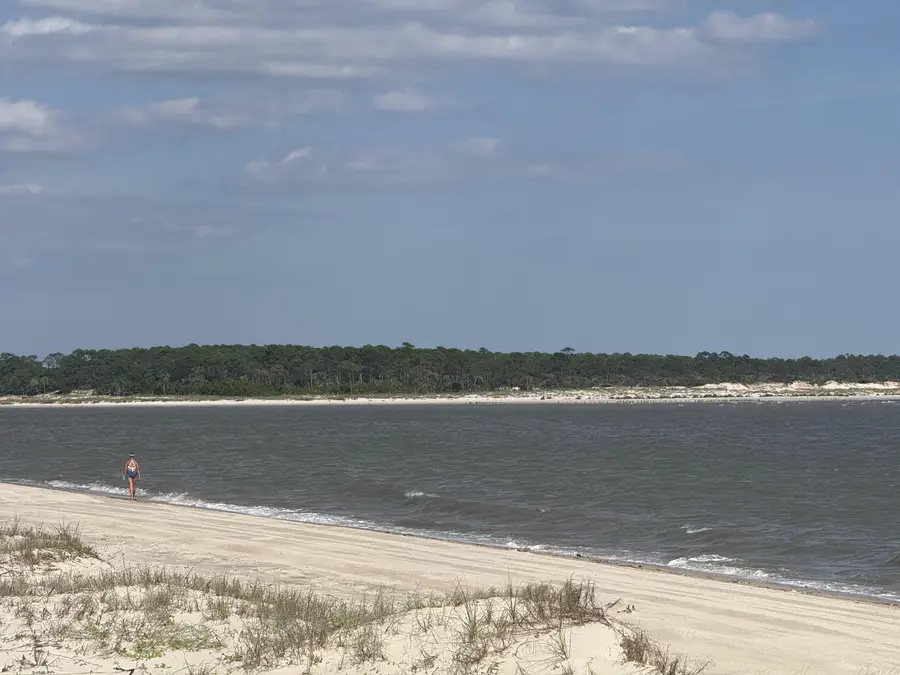 198 Egret Landing Court, Port Saint Joe, FL 32456 - #3