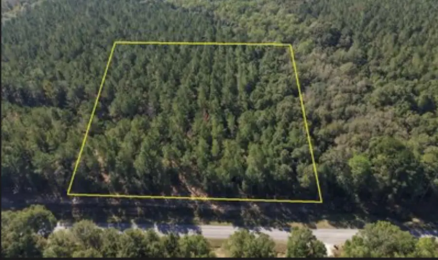 0 Perkins Road, Laurel Hill, FL 32567 - #3