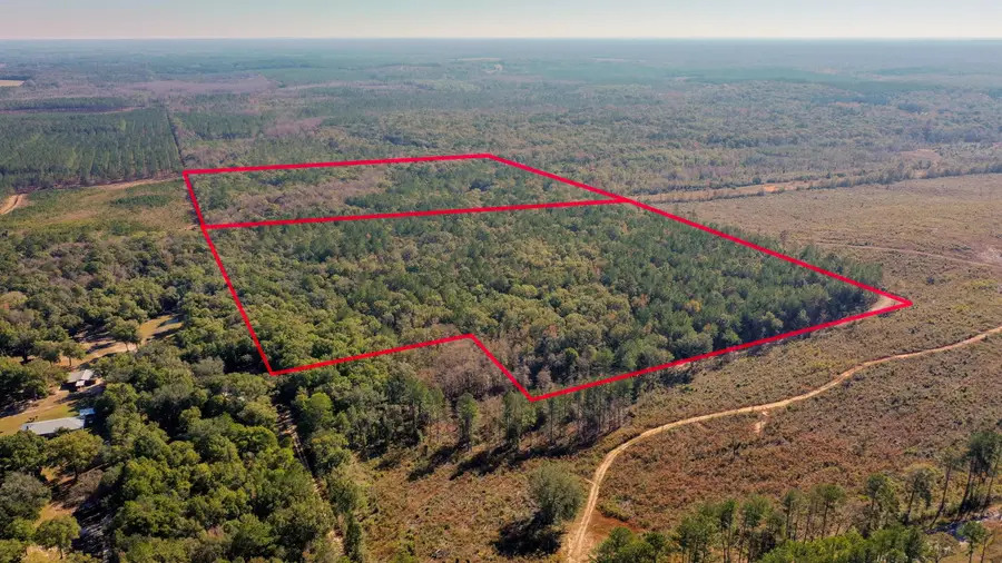 75 Acres N Florida 81, Ponce De Leon, FL 32455 - #3