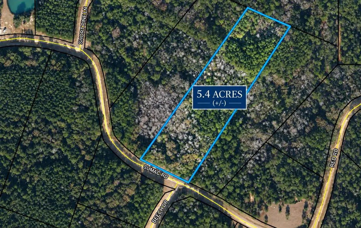 5.4 Acres Sumac Road, Westville, FL 32464 - #1