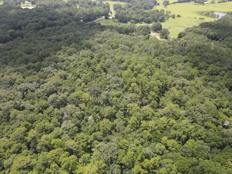 27+/- Ac E County Highway 181, Westville, FL 32464 - #2