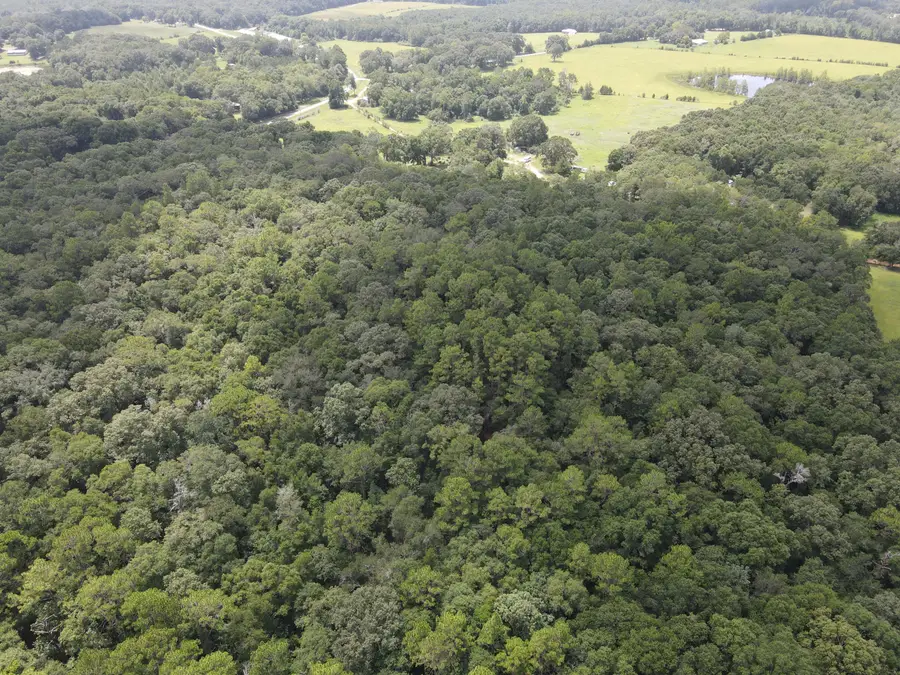 27+/- Ac E County Highway 181, Westville, FL 32464 - #3