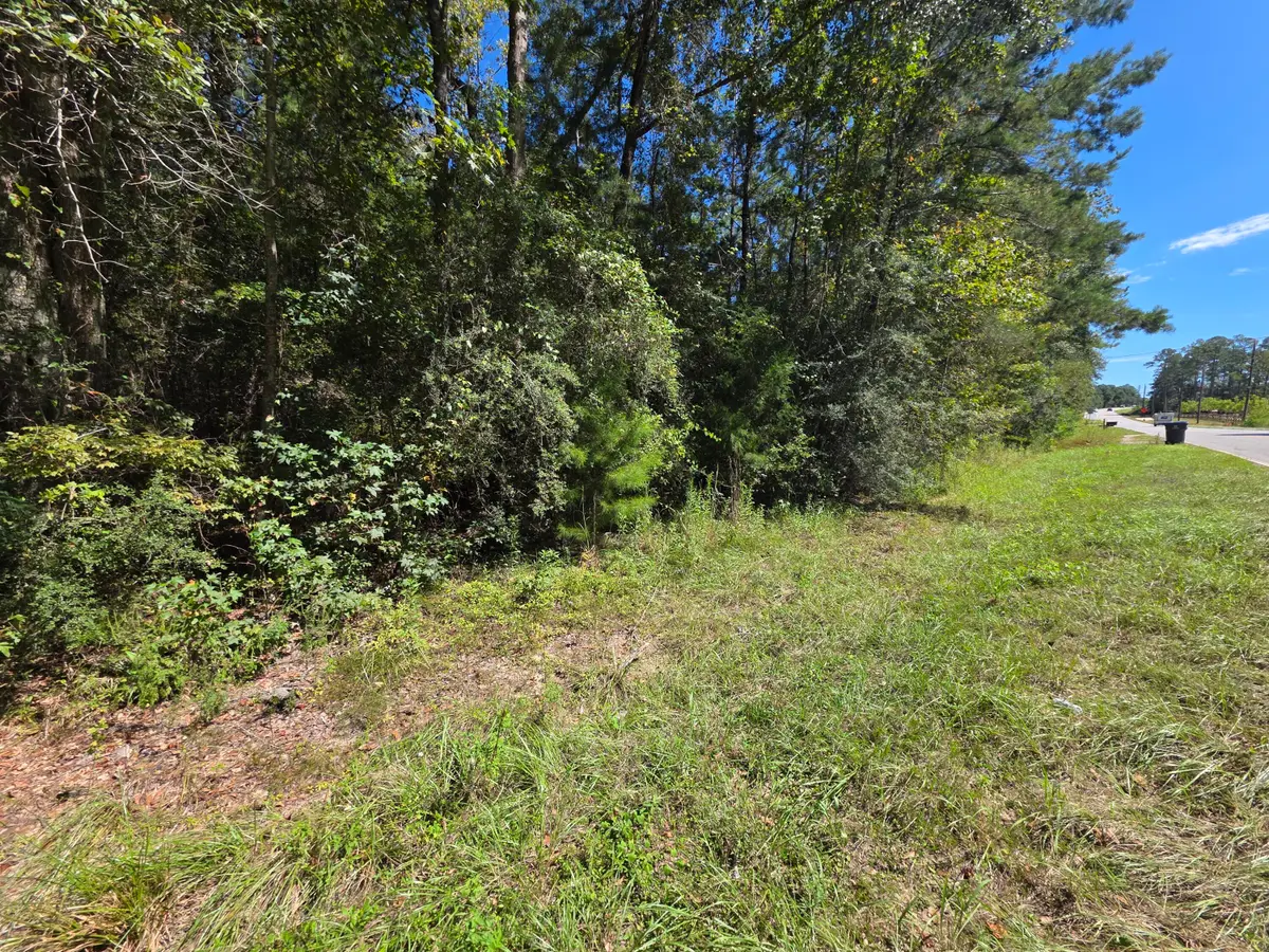 Lot 1 & 2 Antioch Road, Crestview, FL 32536 - #1