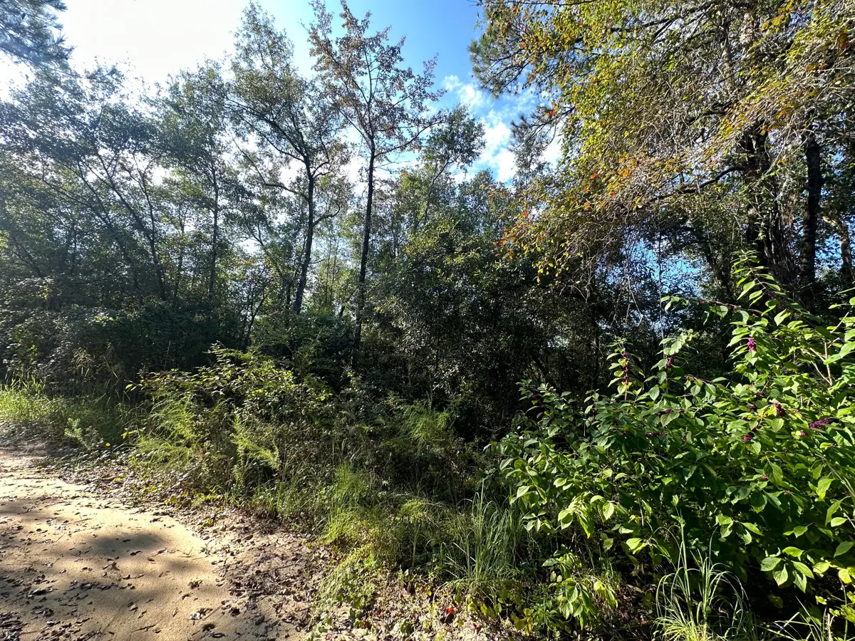 TBD S Carroll Drive, Baker, FL 32531 - #1