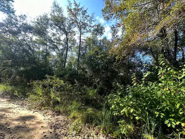 TBD S Carroll Drive, Baker, FL 32531