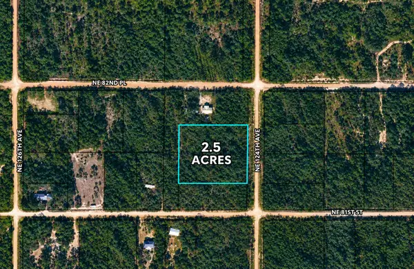 2.5 Acres NE 127th Court, Bronson, FL 32621
