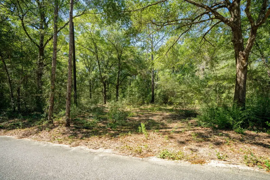 1361 N 1st Street, Defuniak Springs, FL 32433 - #3