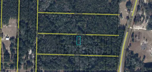 Lot 23/24 Cherry Street, Vernon, FL 32462