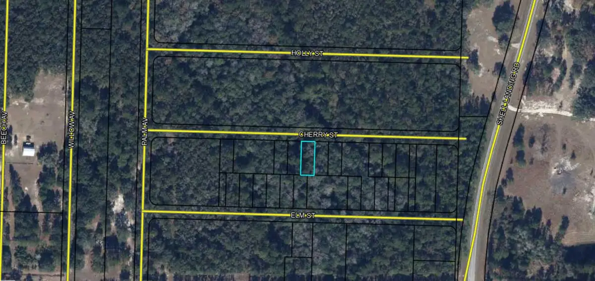 Lots 19/20 Cherry Street, Vernon, FL 32462 - #1