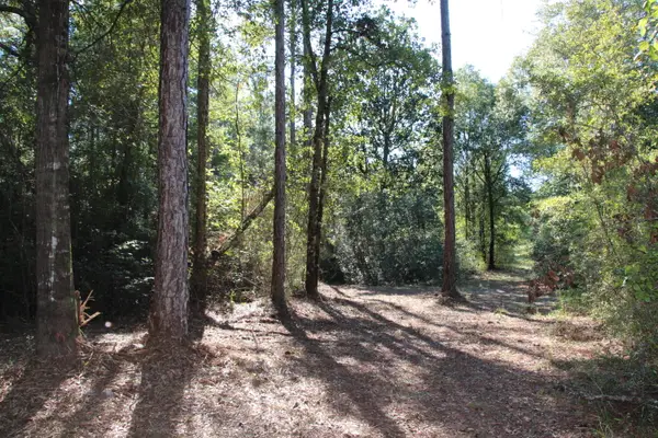 TBD E Chapel Road, Laurel Hill, FL 32567